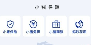 小猪民宿app