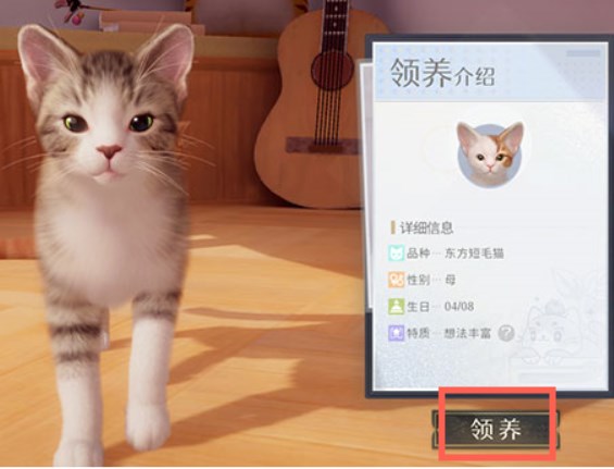 我和我的猫手游