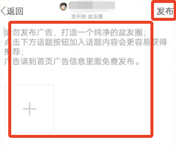 脸盆网手机app