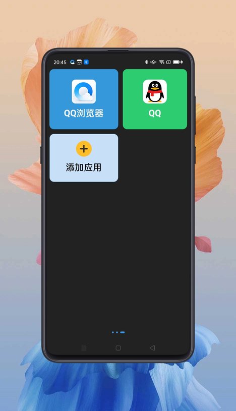 老人桌面app截图2