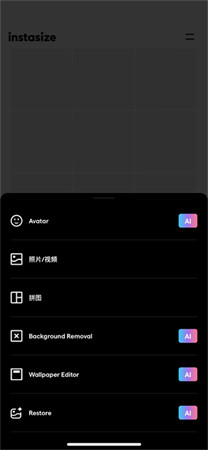 Instasize安卓版