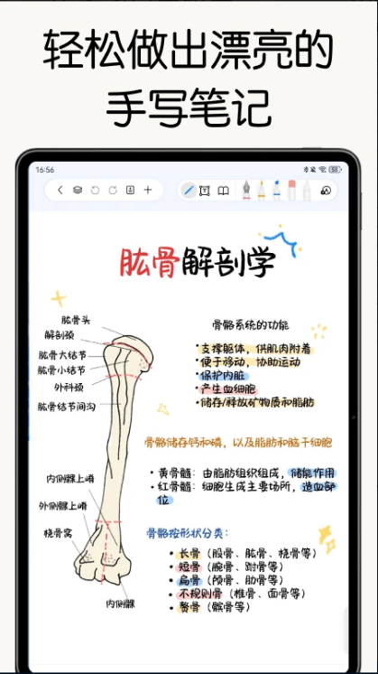 自由笔记app手机版截图2