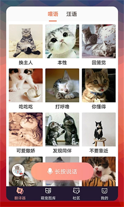 猫语翻译器中文版1