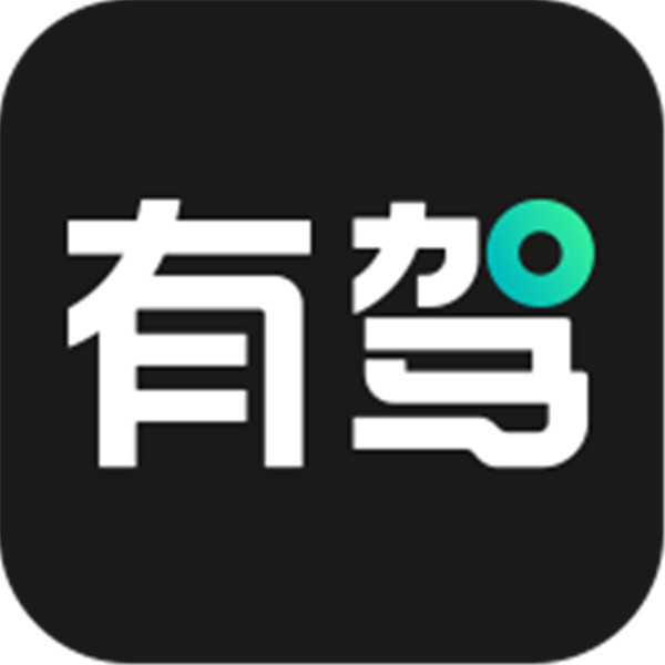 有驾app