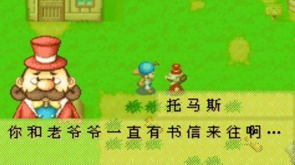 牧场物语矿石镇汉化版截图5