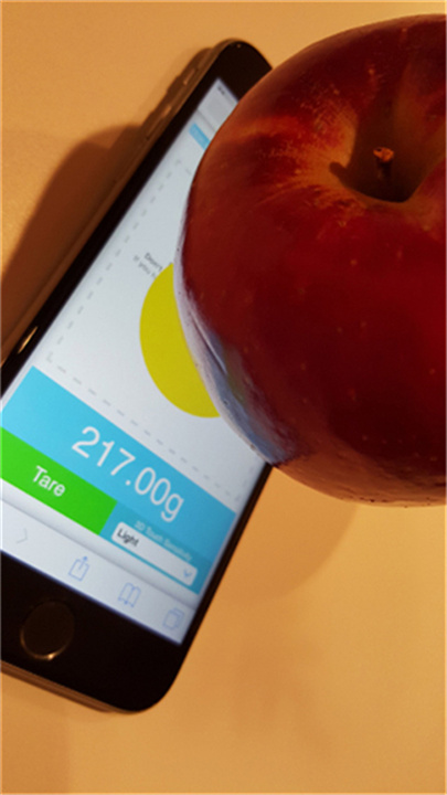 屏幕电子秤touchscale截图1
