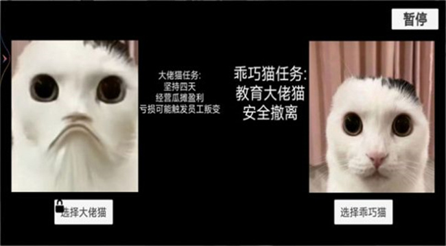 猫猫惊魂夜游戏截图1
