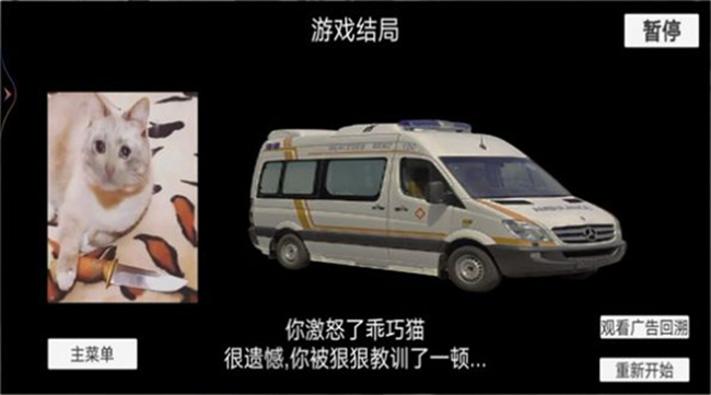 猫猫惊魂夜游戏截图2