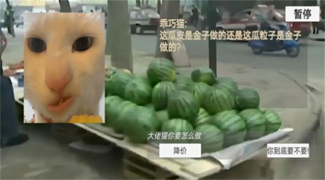猫猫惊魂夜游戏截图3
