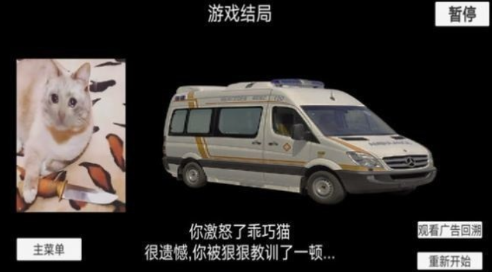 猫猫惊魂夜游戏