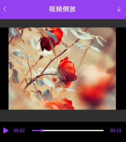 视频编辑工具宝手机版
