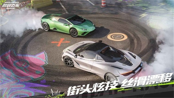 极品飞车10卡本峡谷手机版截图2