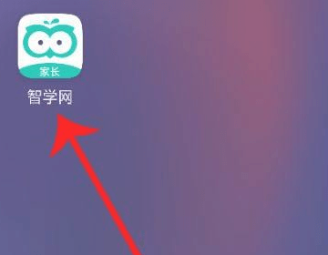 智学网软件家长端