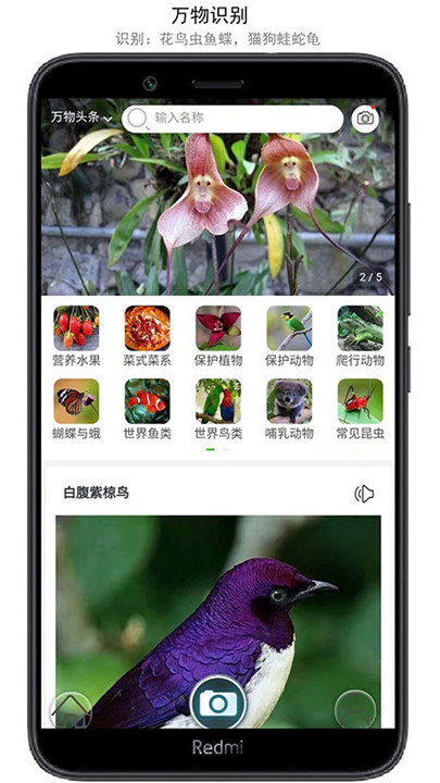 SketchMaster手机版截图1