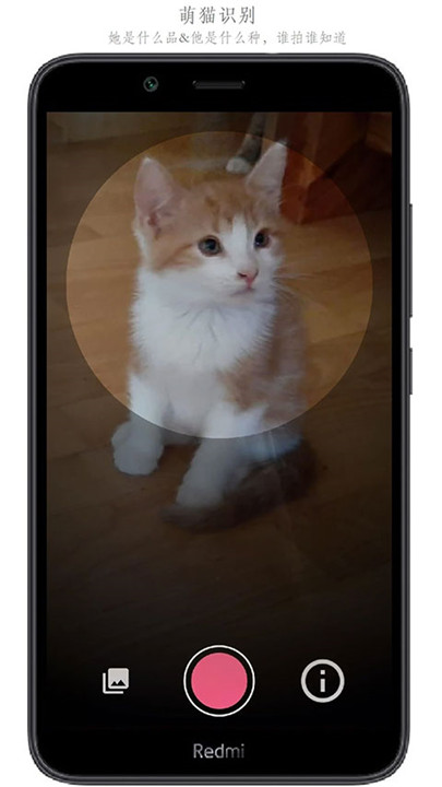 SketchMaster手机版截图2