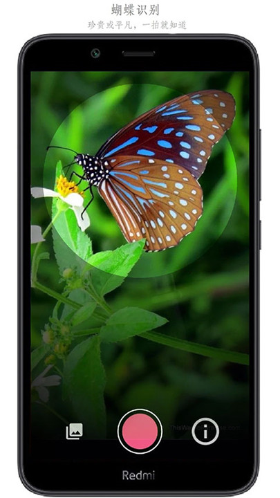 SketchMaster手机版截图4