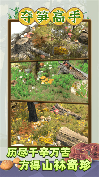 夺笋高手老版本截图2