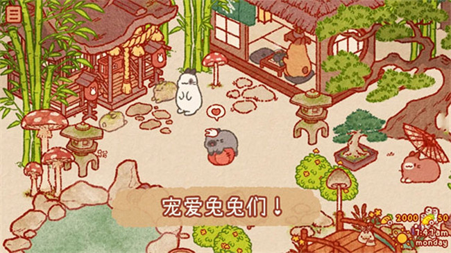 兔兔岛中文版5