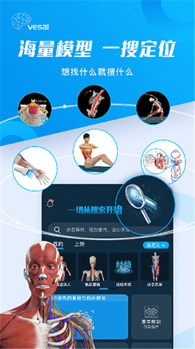 解剖大师手机版截图2