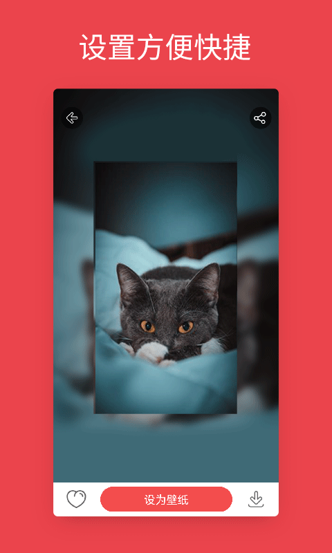 安卓动态壁纸组件2