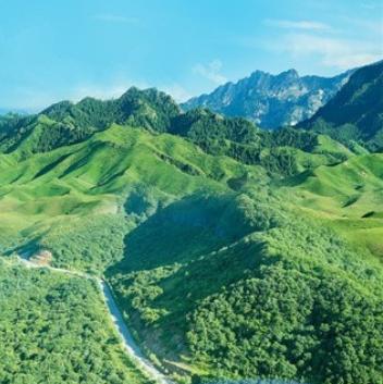 生态护林员巡护app