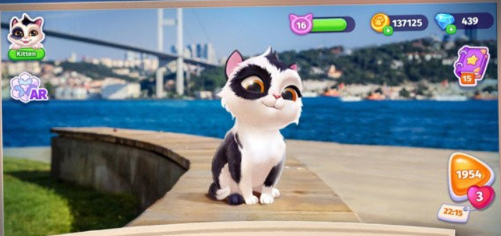 我的可爱猫咪手机版