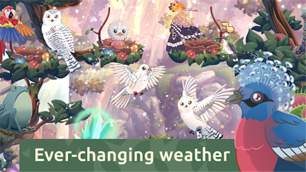 鸟类世界手游截图2