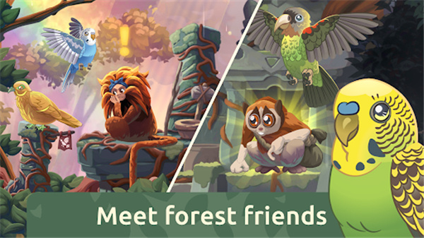 鸟类世界手游截图4