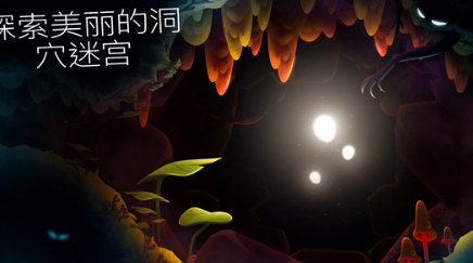 shine光之旅安卓版