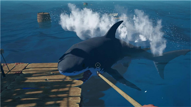 海贼漂流大冒险中文版截图5