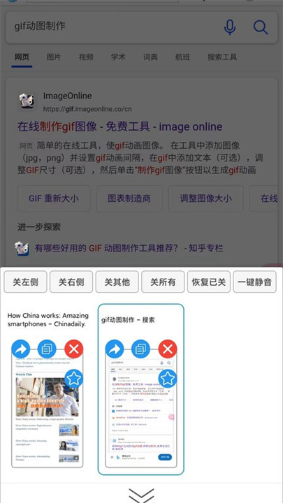大海浏览器app截图3