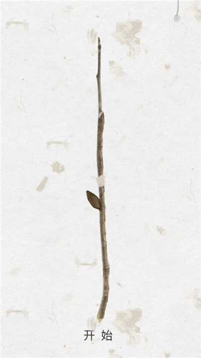 盛开之歌安卓版截图2