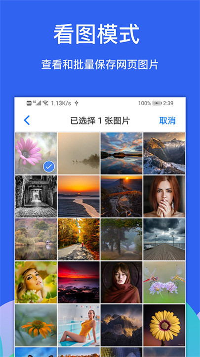 alook浏览器app截图5