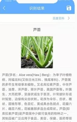 洋果扫描王手机版