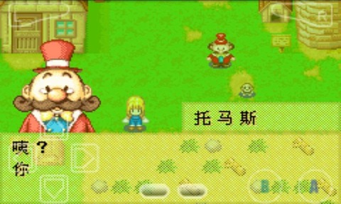 牧场物语女孩版截图1