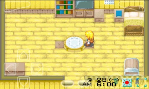 牧场物语女孩版截图2