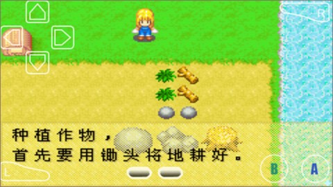 牧场物语女孩版 第3张图