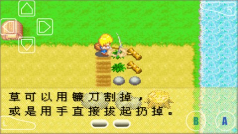 牧场物语女孩版 第4张图