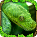 snakesimulator安卓