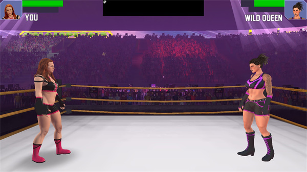 美女摔跤模拟器手机版截图1