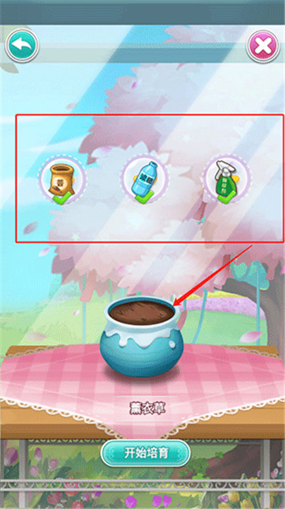 鲜花小镇安卓版