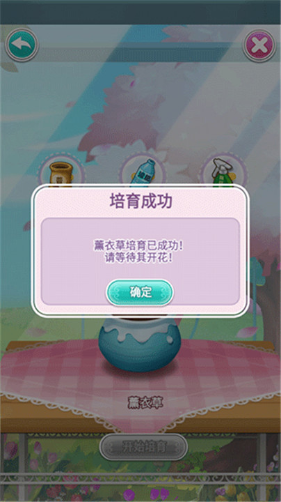 鲜花小镇安卓版