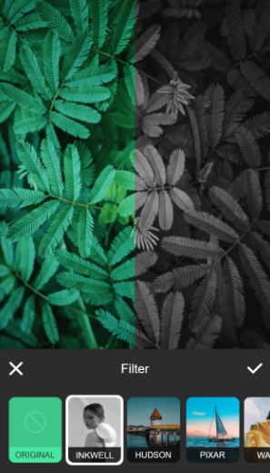 美图大师软件手机版