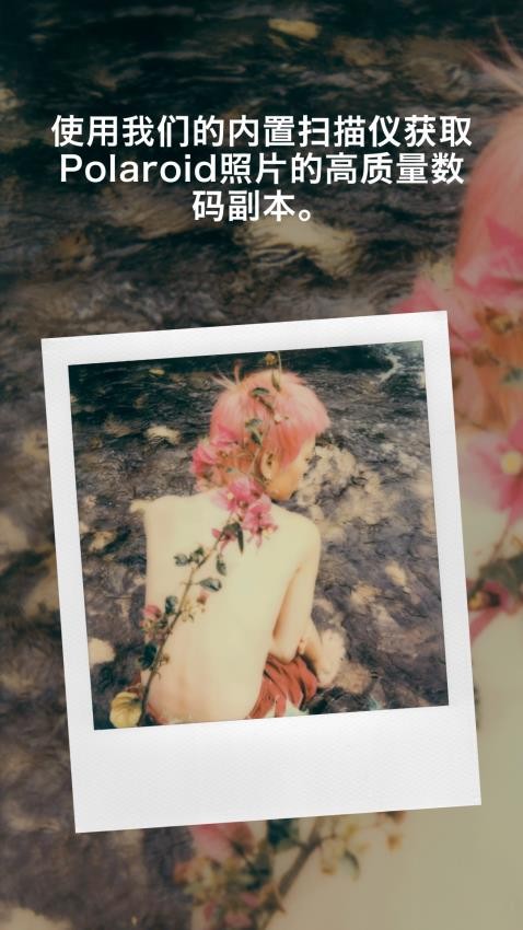 polaroid安卓app截图2