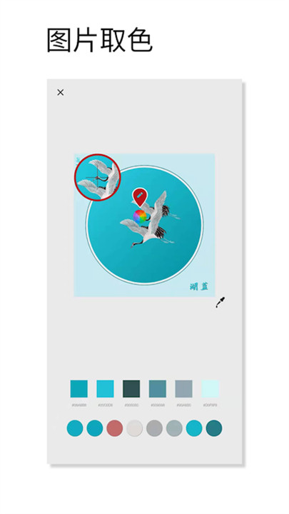 观色配色手机版截图2