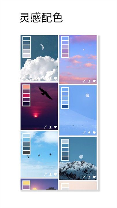 观色配色手机版截图4
