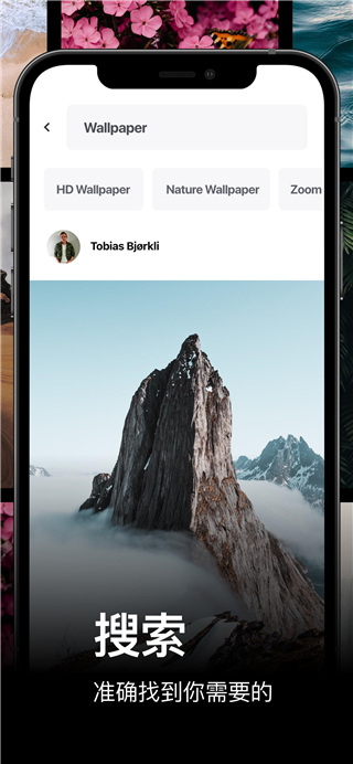 Pexels视频素材截图1