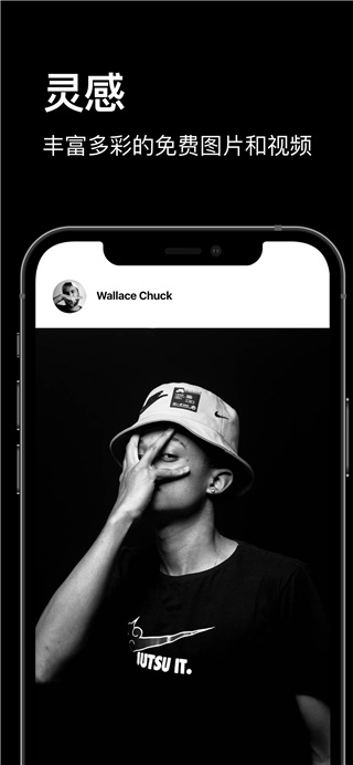 Pexels视频素材截图2