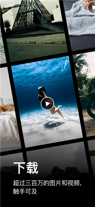 Pexels视频素材截图3