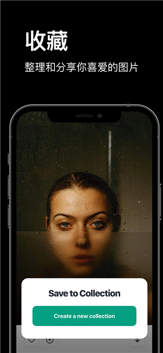 Pexels视频素材截图4